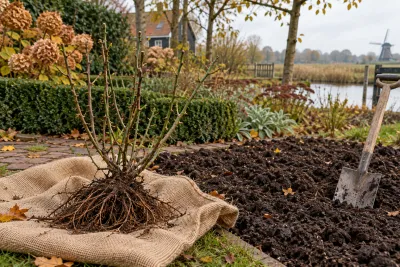 Ontwortelde rozenstruik op jutezak naast schop en vers omgeploegd plantbed