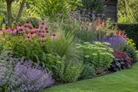 Kleurige border met zonnehoed, kattestaart, siergrassen en rozemarijnachtige bodembedekkers